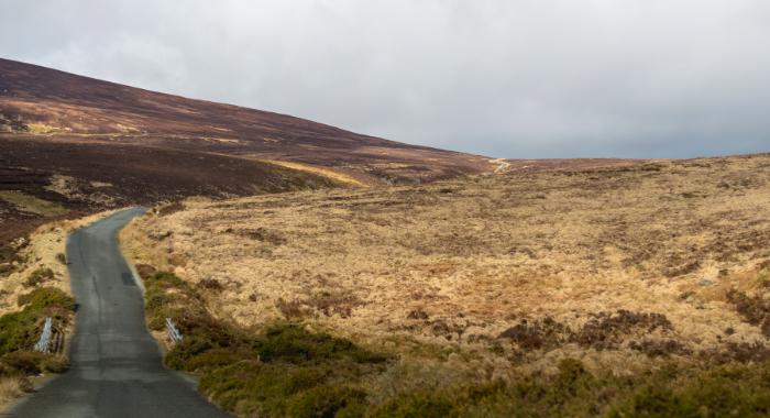 Wicklow A road on the left snakes up the hill to the right. Grassland is on the right hand side of the road with a hill to the left.
