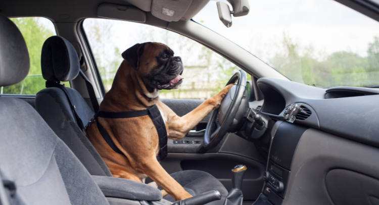 LMO Drive Away