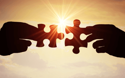 More Than Just Finance: Why Irish Dealers and Brokers Partner with LM Operations