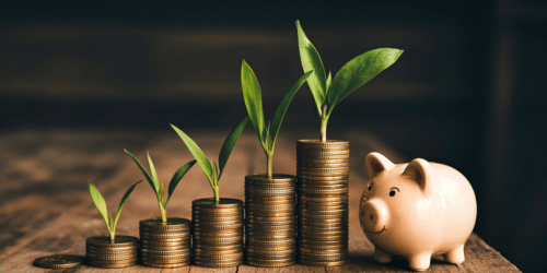 Coin stacks growing in size from left to right with plants shooting out and a piggy bank at the end.