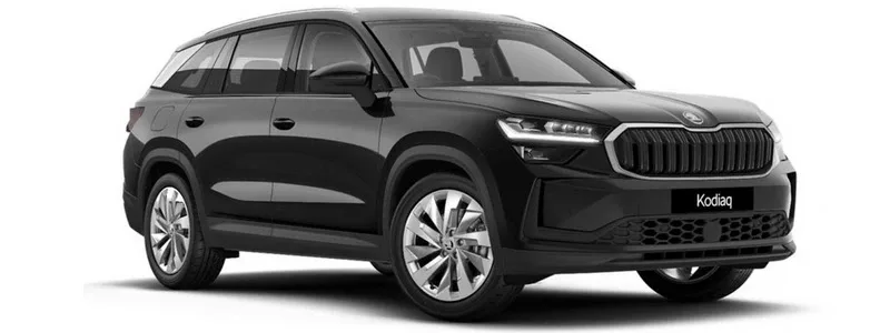 A black Skoda Kodiaq.